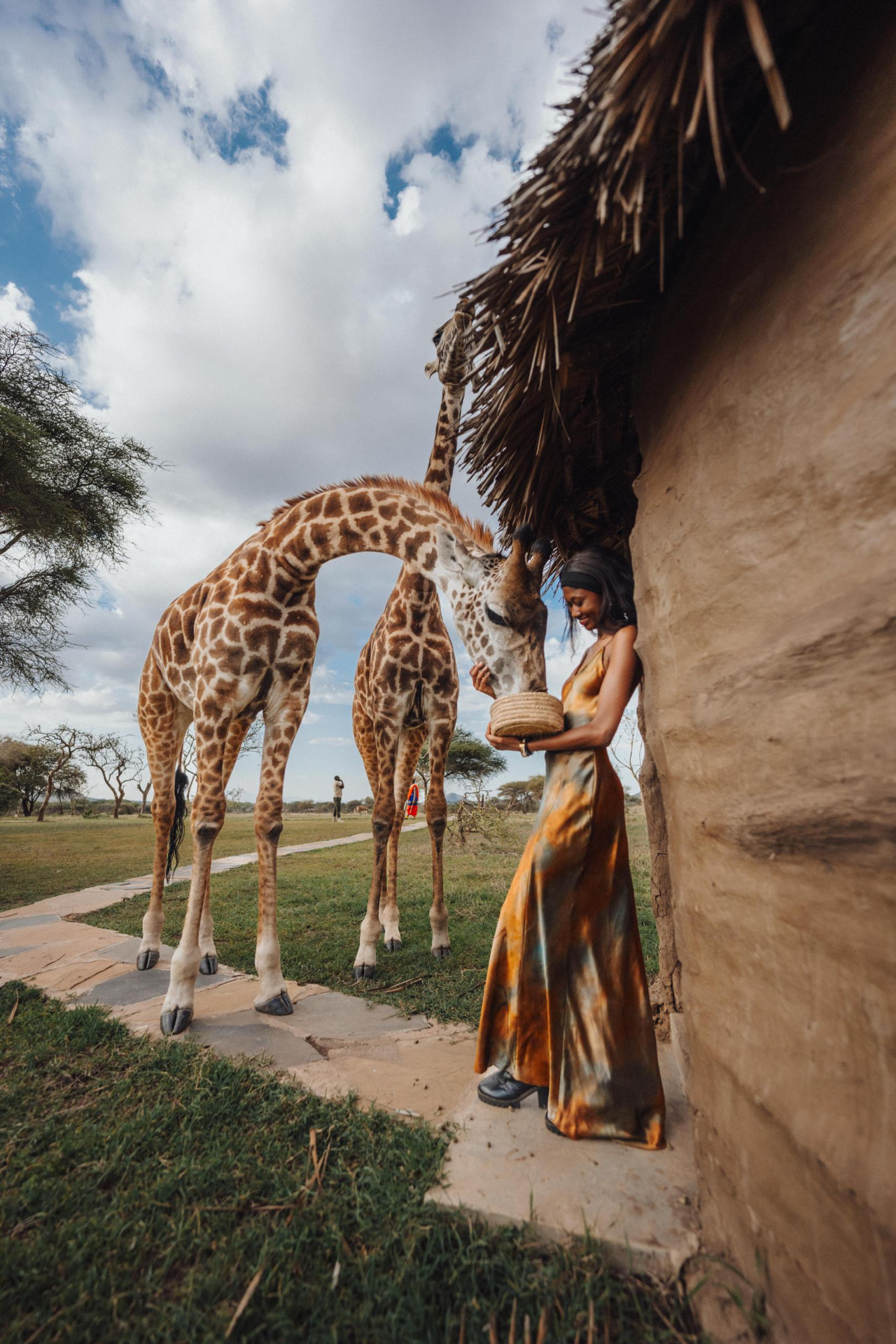 A woman hand-feeding a giraffe from a woven basket beside a thatched building