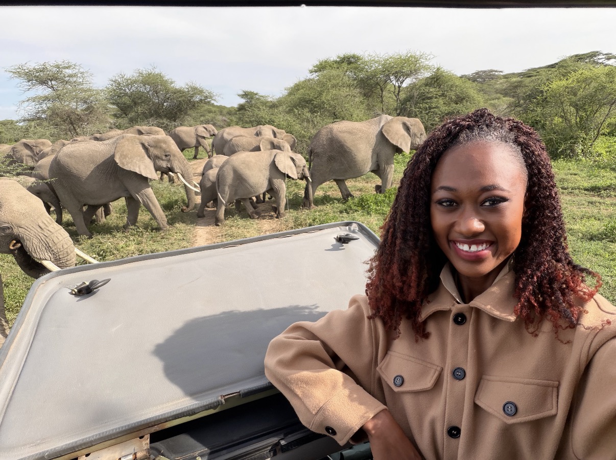 Noreen watching an elephant herd from a safari vehicle in Tanzania