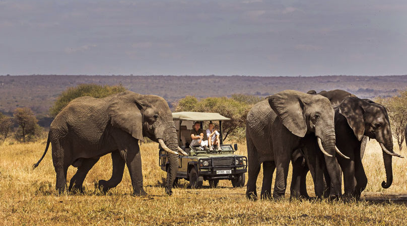 Elephants passing close to an open safari vehicle in Tarangire