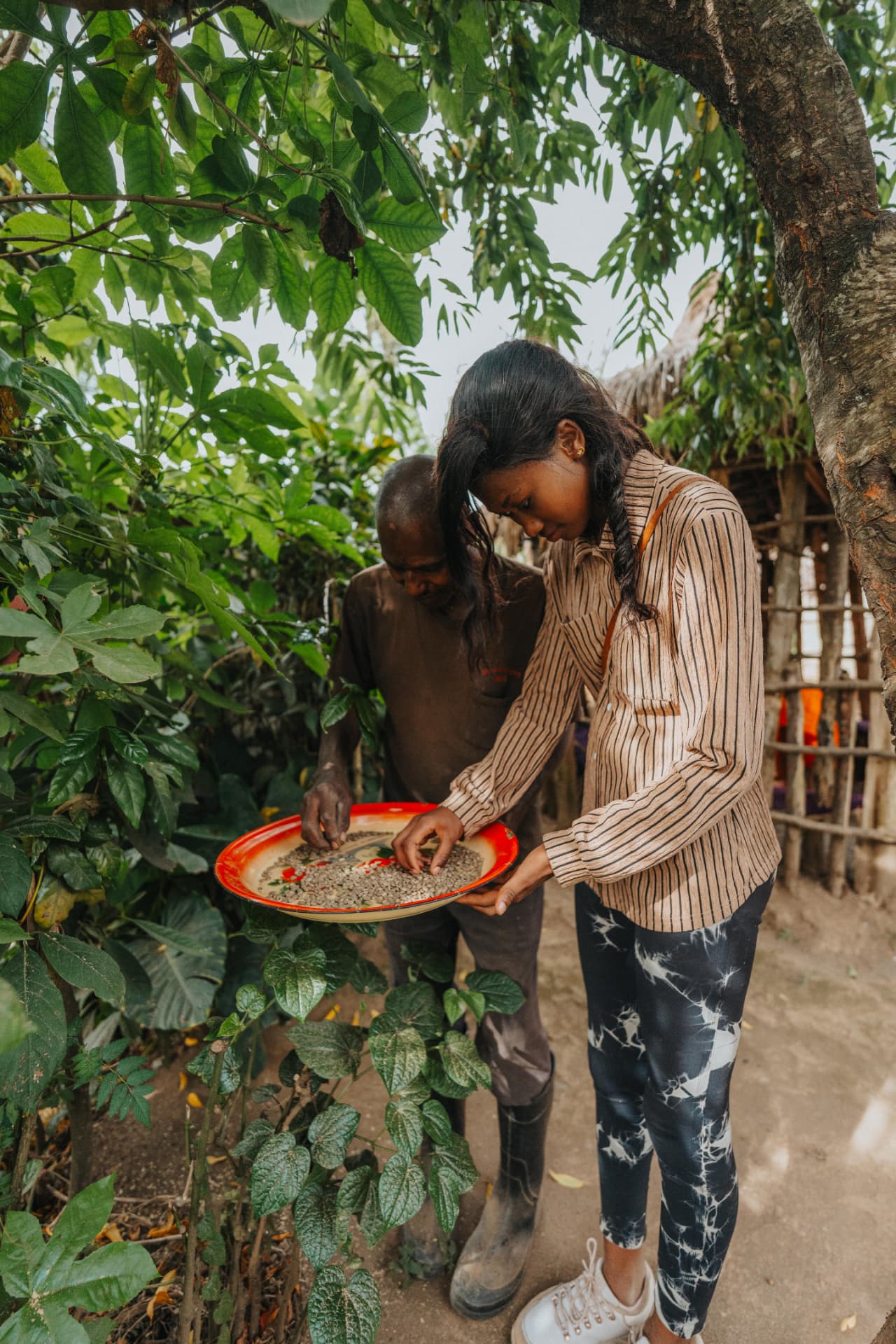 Noreen sorting coffee beans with a local farmer beneath the trees