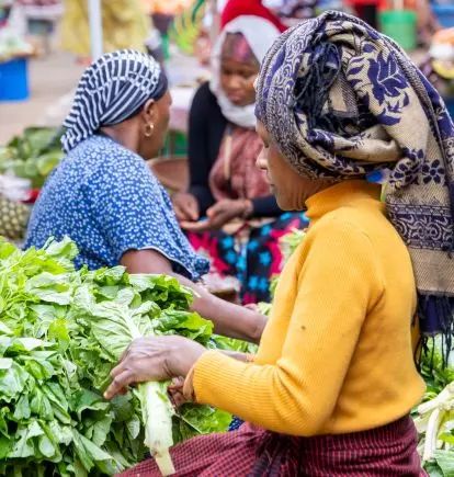 Women sorting fresh greens at a market stall in Arusha