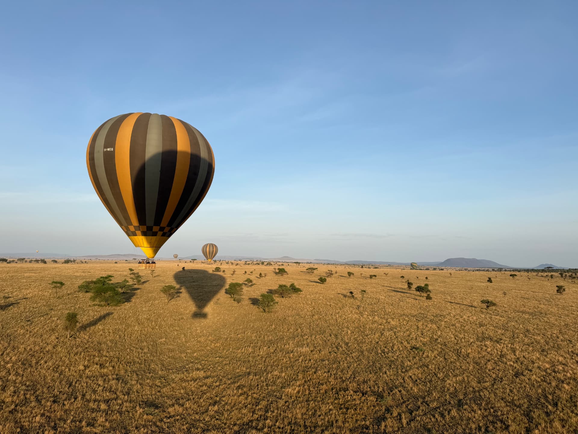 A hot air balloon drifting low over the golden Serengeti plains at sunrise