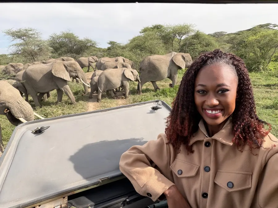Noreen watching an elephant herd from the roof hatch of a safari vehicle