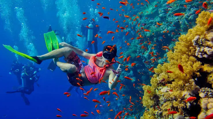 Snorkelling in clear water near Mnemba, Zanzibar