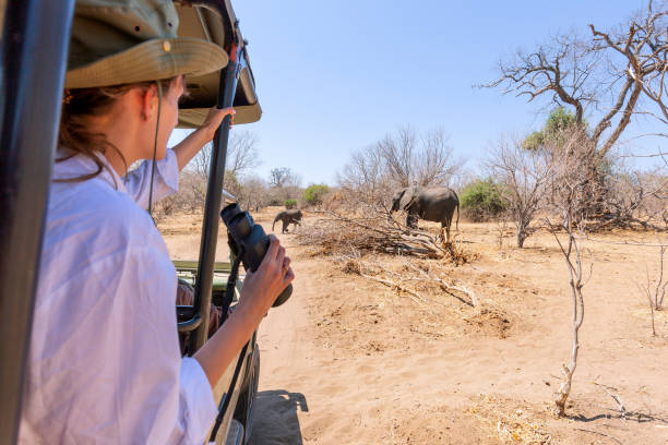 Yes, every safari we plan is tailor-made