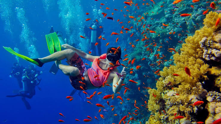 A snorkeller swimming beside coral and shoals of orange reef fish