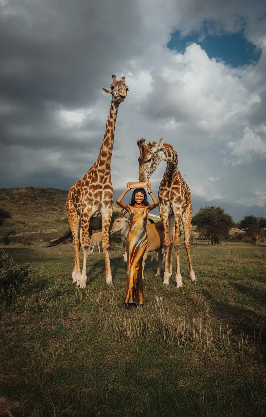 Giraffes at Serval Wildlife near Arusha
