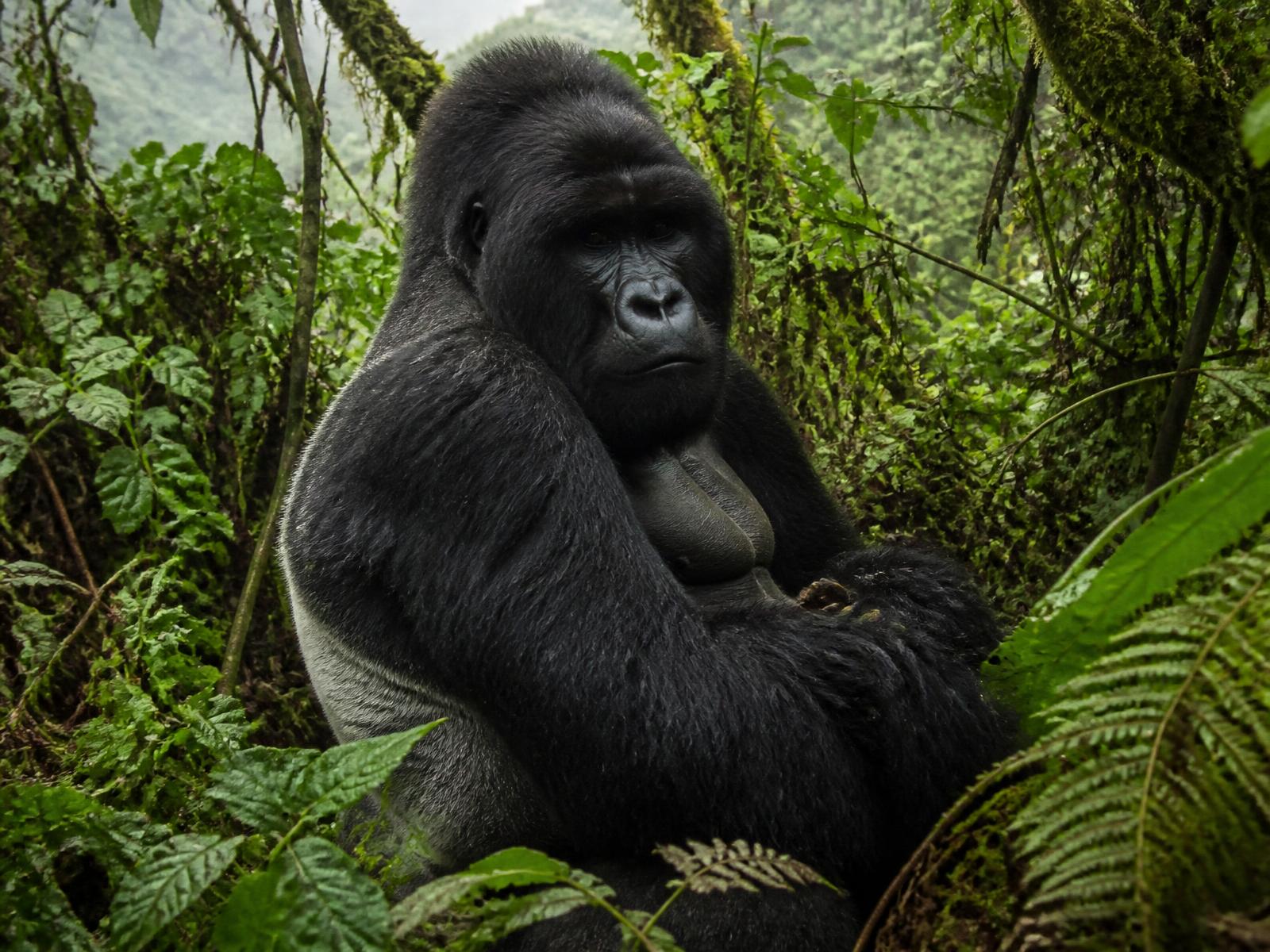 Uganda