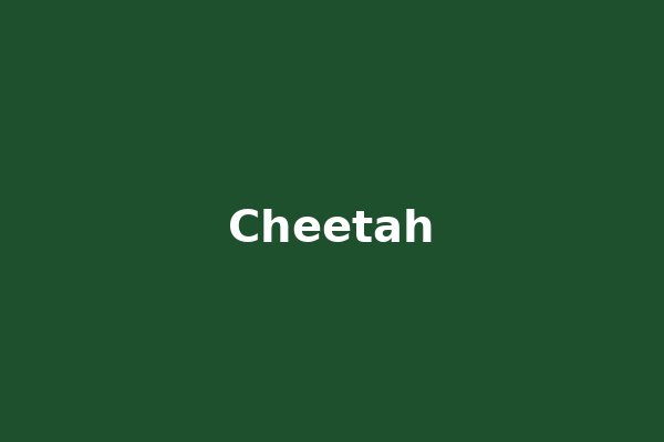 Cheetah