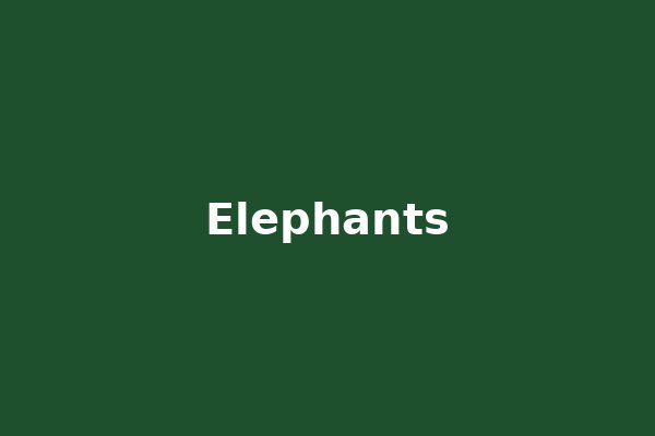 Elephants